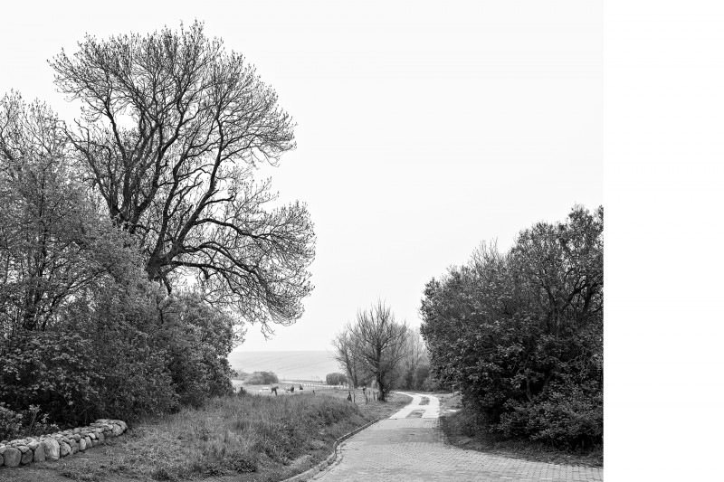 Der Weg #1, Projekt 