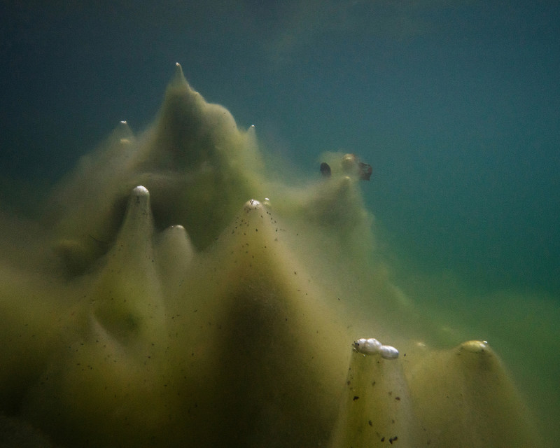 Unter Wasser von Hans-Christian Schink