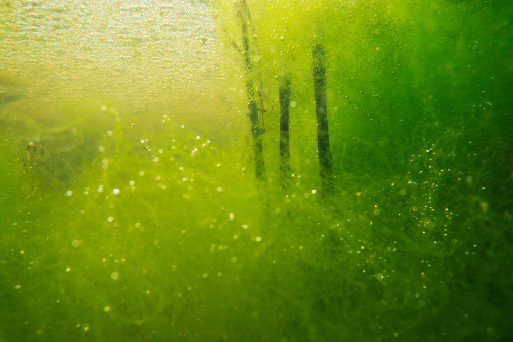 Unter Wasser von Hans-Christian Schink