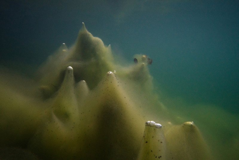 Unter Wasser, Hans-Christian Schink