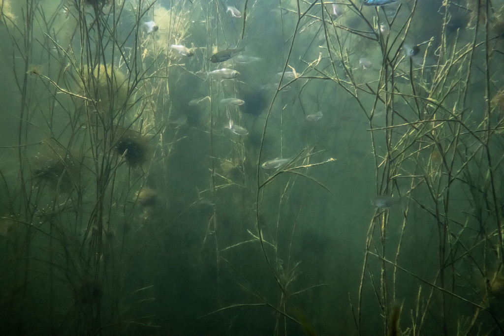 Unter Wasser, Hans-Christian Schink