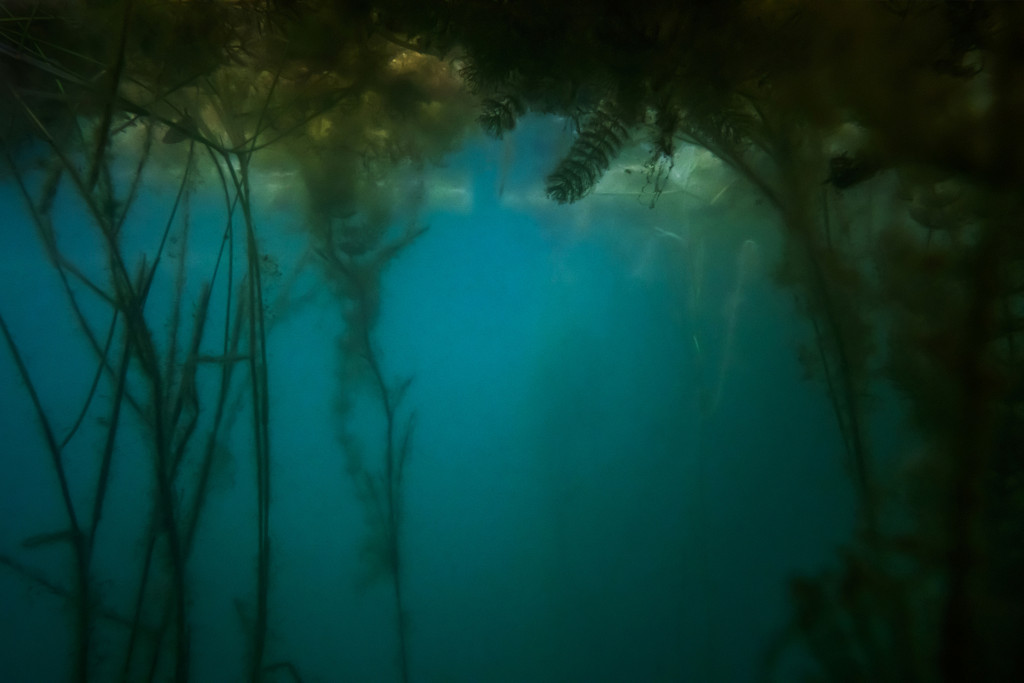 Unter Wasser, Hans-Christian Schink