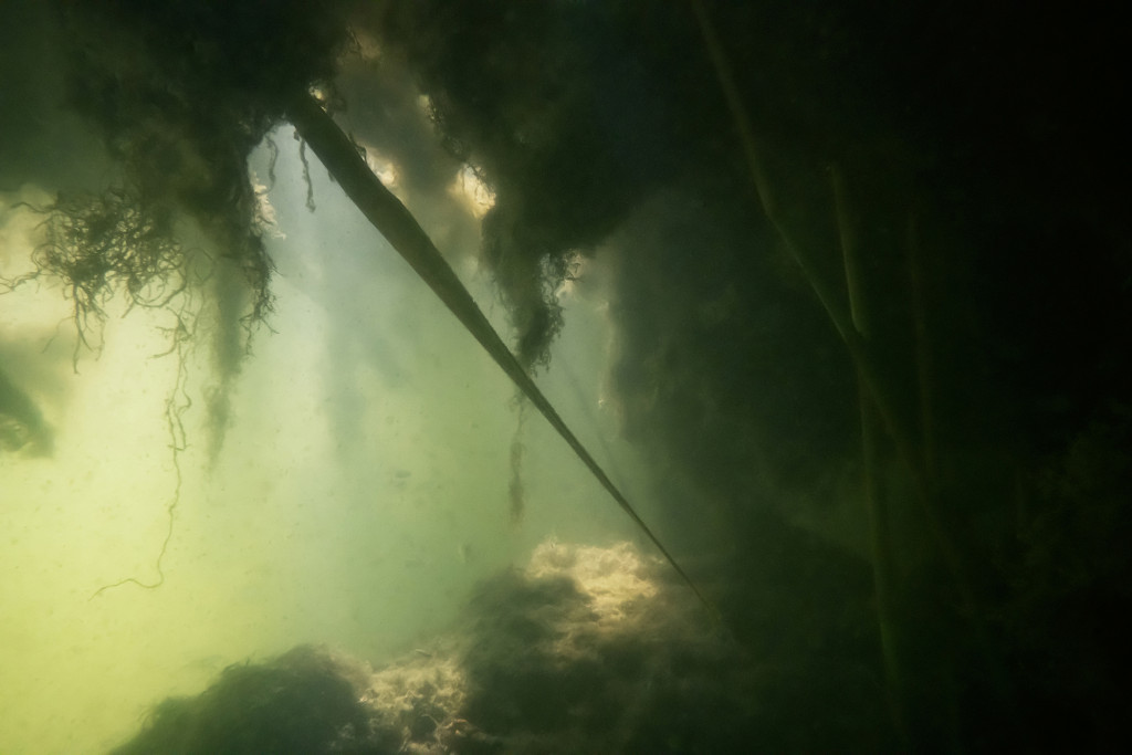 Unter Wasser, Hans-Christian Schink