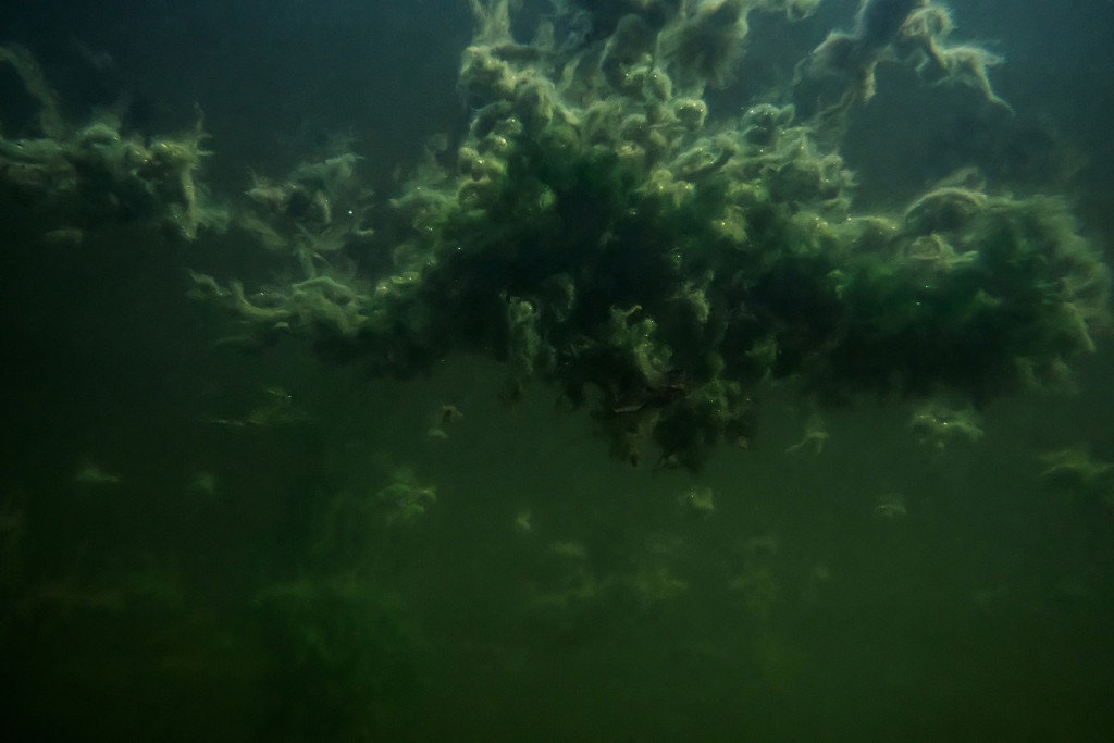 Unter Wasser, Hans-Christian Schink