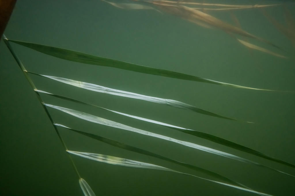 Unter Wasser, Hans-Christian Schink