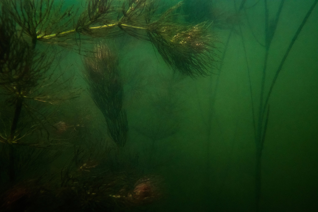 Unter Wasser, Hans-Christian Schink