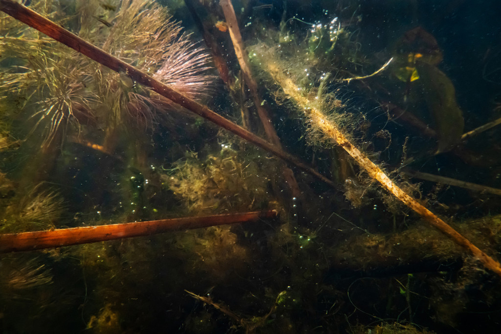 Unter Wasser, Hans-Christian Schink
