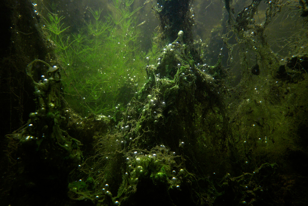 Unter Wasser von Hans-Christian Schink