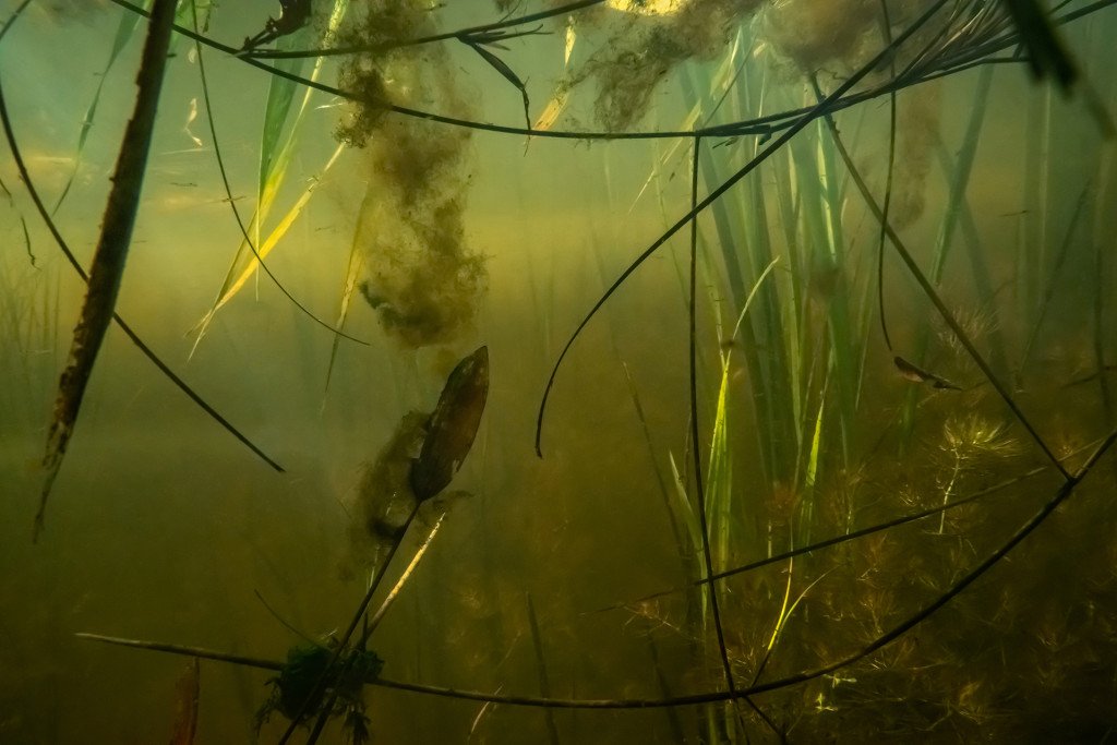 Unter Wasser, Hans-Christian Schink